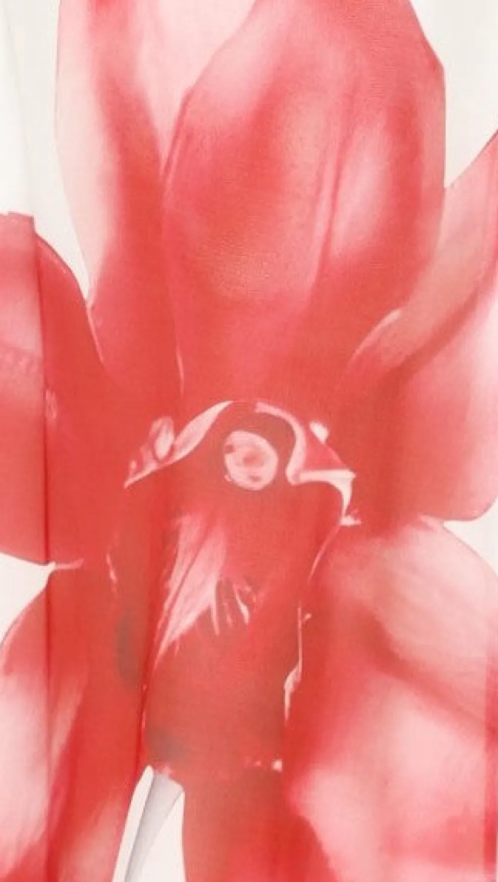 Brittani Strapless Maxi Dress - White/Red