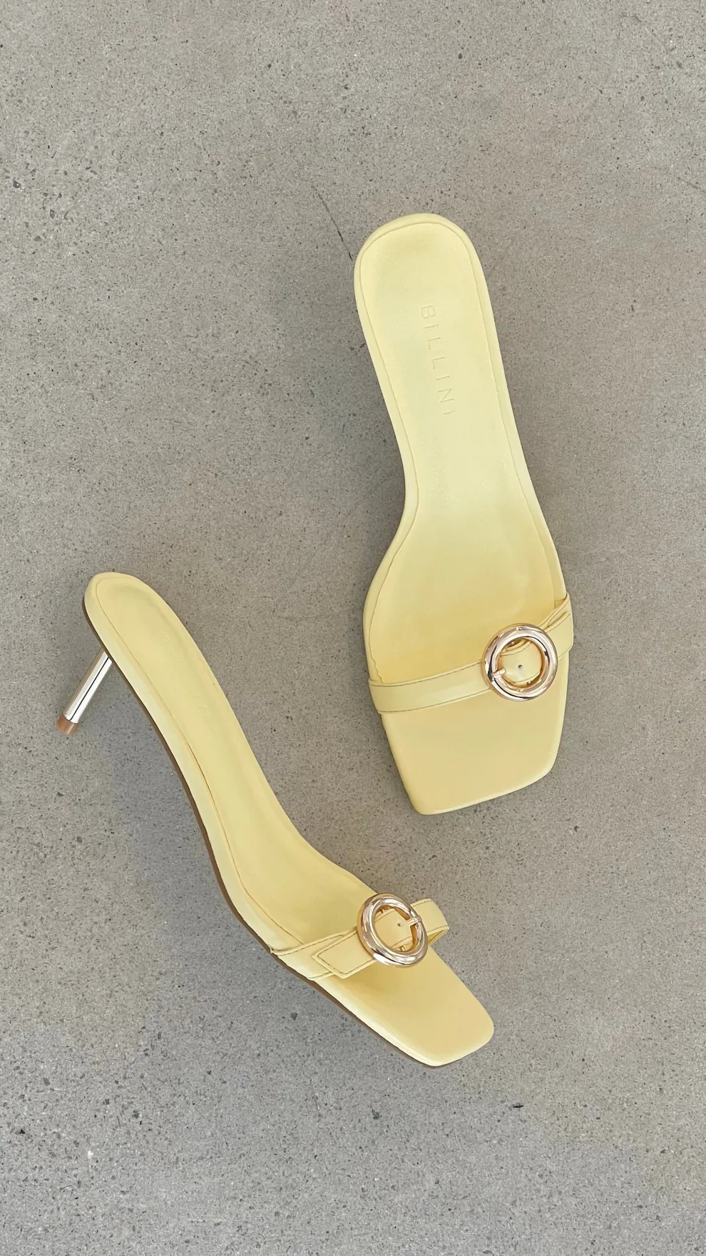 Lyon Heel - Daffodil