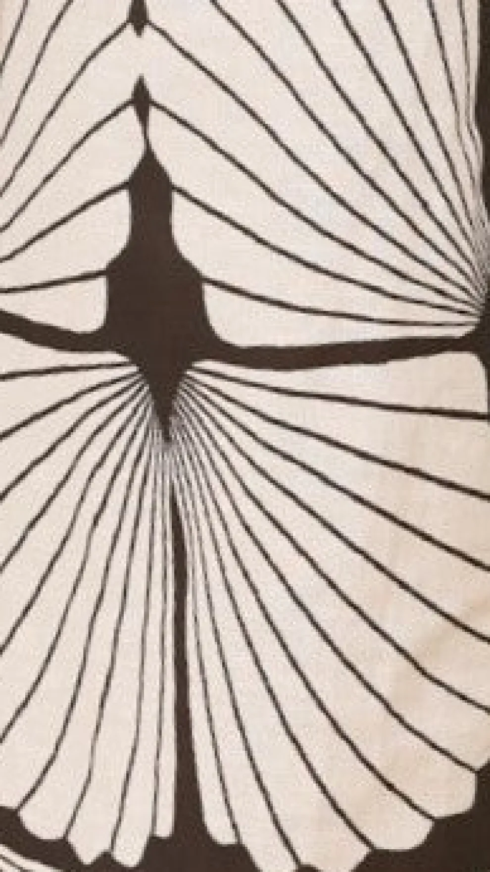 Paloma Maxi Skirt - Palm Canyon